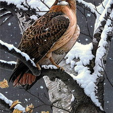 Схема вышивки «№81381»