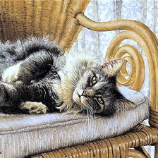 Схема вышивки «Котик»