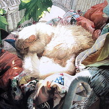 Схема вышивки «Сладкий сон»