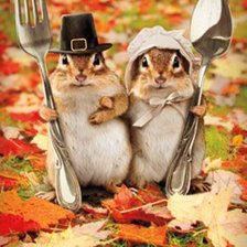 Схема вышивки «Хомячки»