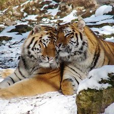 Схема вышивки «я тебя люблю»