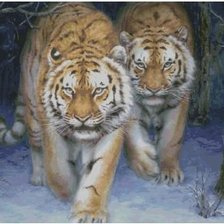 Схема вышивки «Тигры»