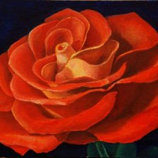 Схема вышивки «558»