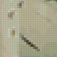 Предпросмотр схемы вышивки «шорохи» (№81521)