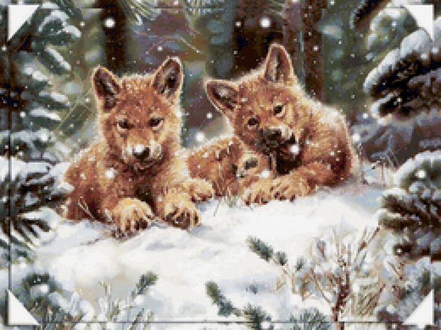 Волчата на снегу - хищник, животные, снег, волк, зима, семья - предпросмотр