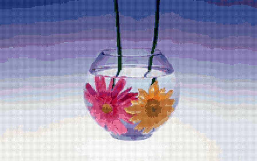 Герберы в аквариуме - цветы - предпросмотр