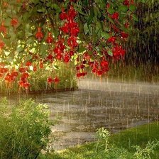 Схема вышивки «Летний дождь»