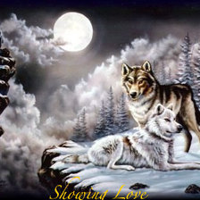 Схема вышивки «Волки при луне»