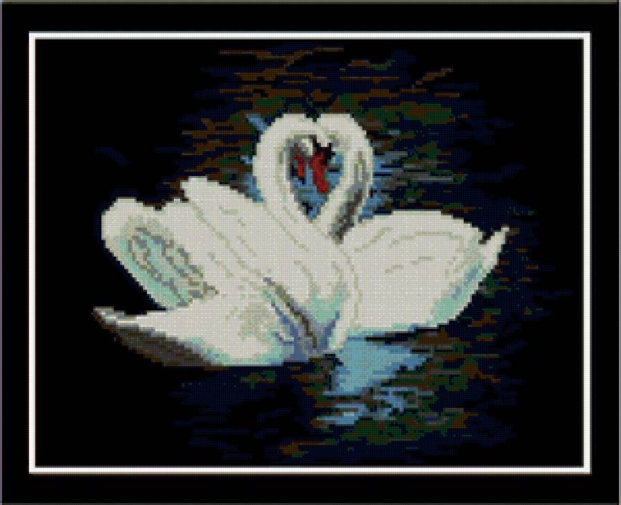 №81894 - птицы, пара, лебеди, любовь - предпросмотр