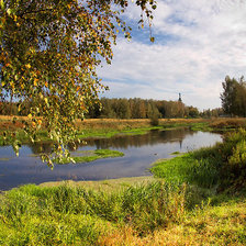 Схема вышивки «природа»