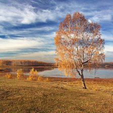 Схема вышивки «осень»