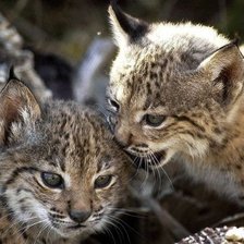 Схема вышивки «малыши»