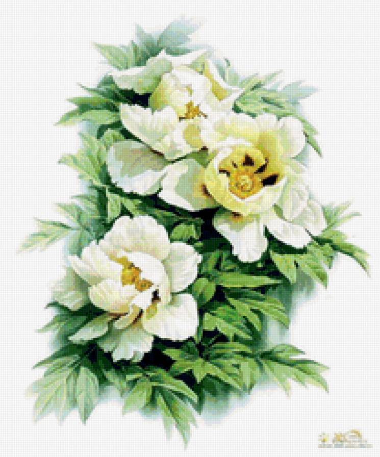 зенг ксиао лиан 1 - цветы, зенг ксиао лиан, живопись - предпросмотр