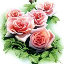 Схема вышивки «зенг ксиао лиан - розы»