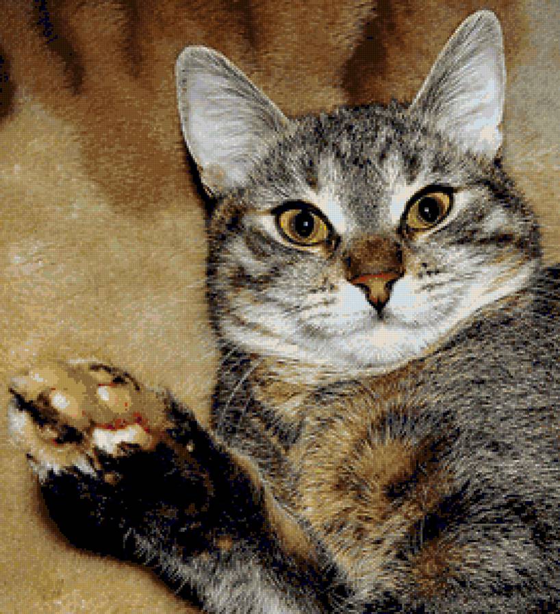 всем привет! - животные, коты, кошки, портрет - предпросмотр