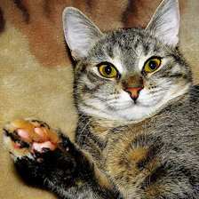 Схема вышивки «всем привет!»