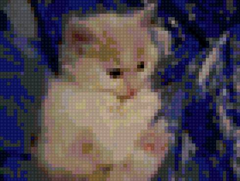 Моя маленькая кошка - котята - предпросмотр