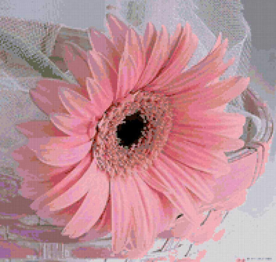 Розовая гербера - цветы - предпросмотр