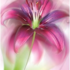 Схема вышивки «лилии»