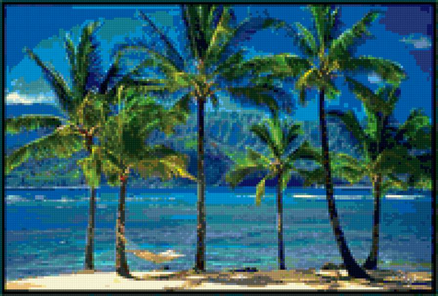 пальмы - пальмы, море - предпросмотр