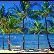 Схема вышивки «пальмы»