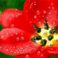 Схема вышивки «картина мак»