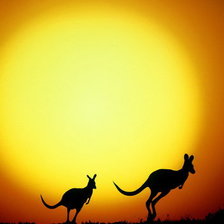 Схема вышивки «Австралия»