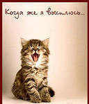 Схема вышивки «котенок»