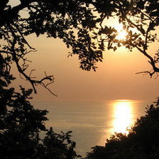 Сердце природы