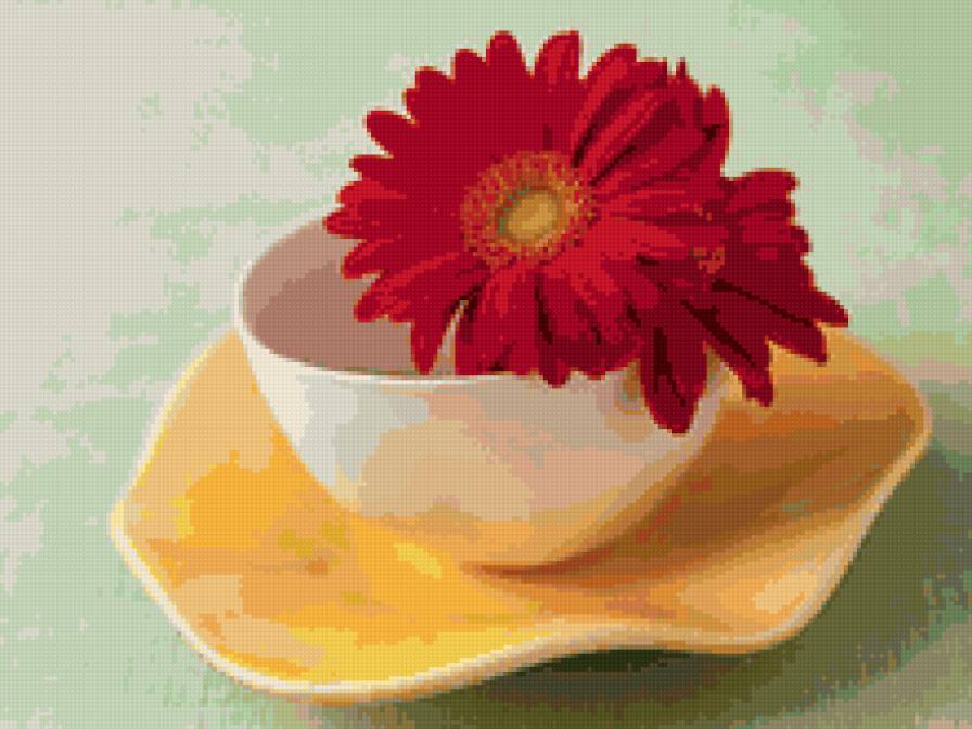 Герберы в чашке - цветы - предпросмотр