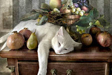 Схема вышивки «кошка»