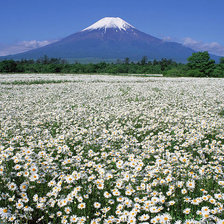 Схема вышивки «фудзияма»