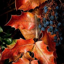 Схема вышивки «Радует глаз»