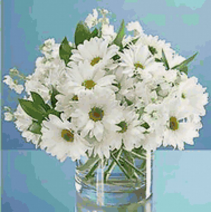 хризантемы - цветы - предпросмотр