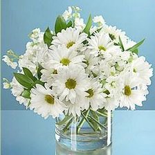 Схема вышивки «хризантемы»