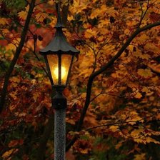 Схема вышивки «красота осени»