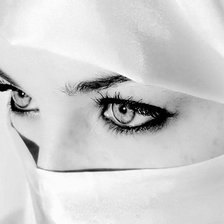 Схема вышивки «взгляд1»