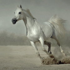 Схема вышивки «№82887»