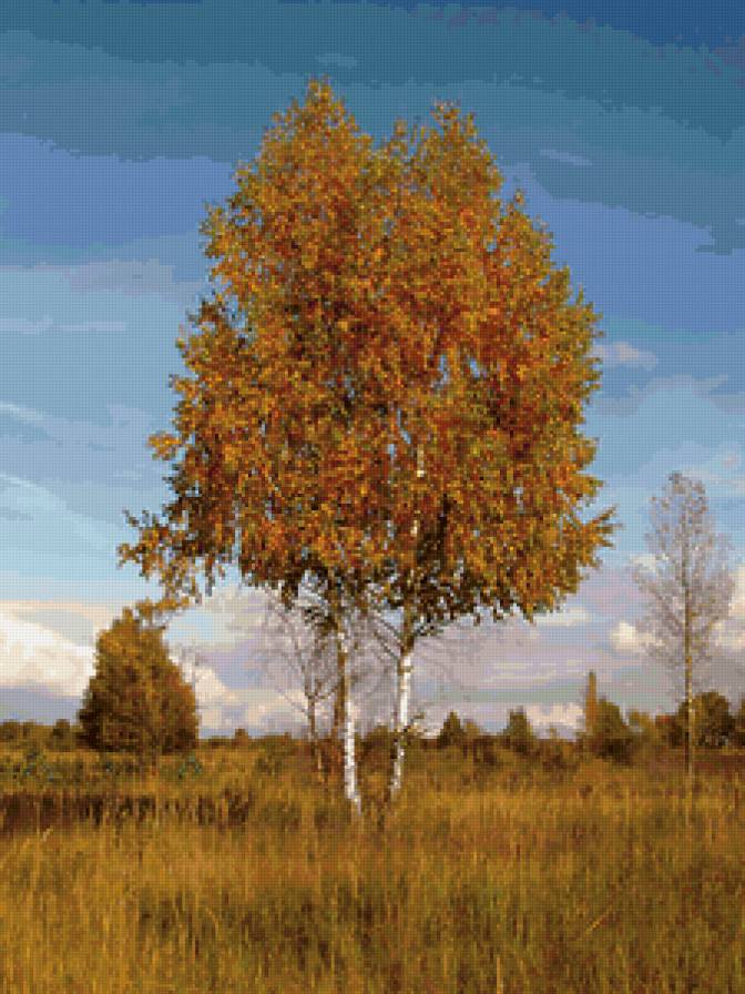 осень - пейзаж - предпросмотр