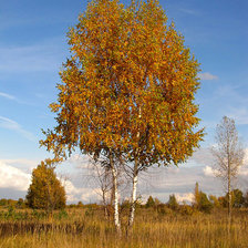 Схема вышивки «осень»