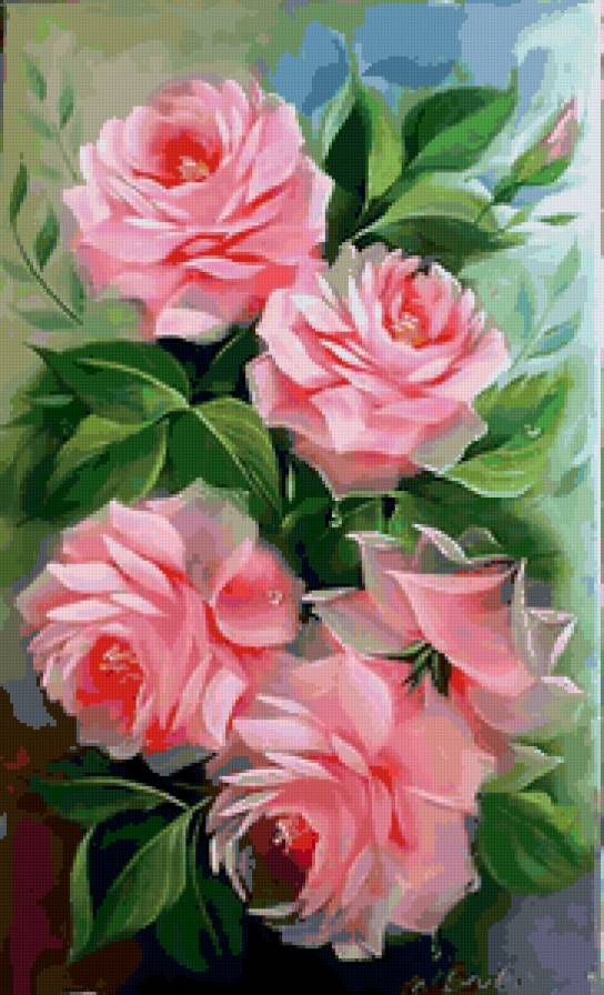 нежные розы - цветы, розы - предпросмотр