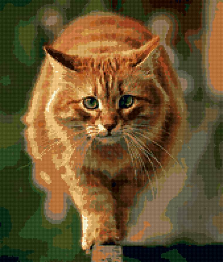 Тёплый рыжий - кот, котэ, рыжий, коты - предпросмотр