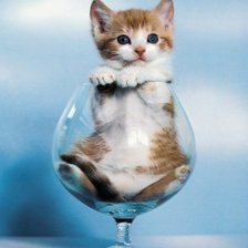 Схема вышивки «Счастье в бокале»