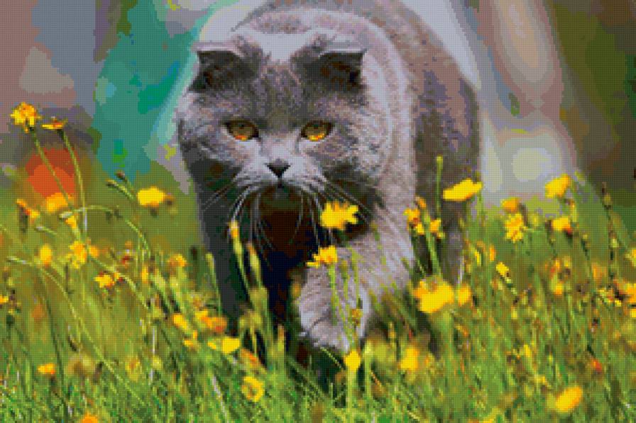 На прогулке - цветы, кот, открытка - предпросмотр