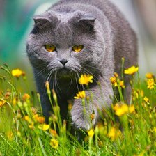 На прогулке