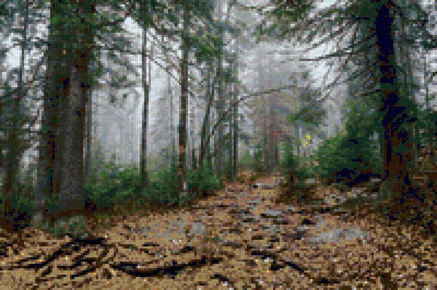 №83284 - предпросмотр