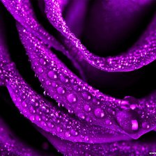 Схема вышивки «№83310»