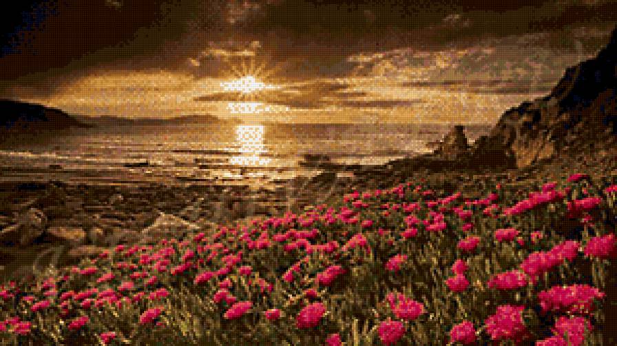 красота - природа, цветы - предпросмотр