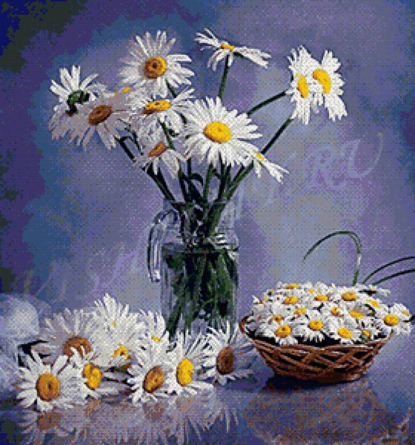 ромашки+ромашки - цветы, ромашки - предпросмотр