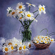 Схема вышивки «ромашки+ромашки»